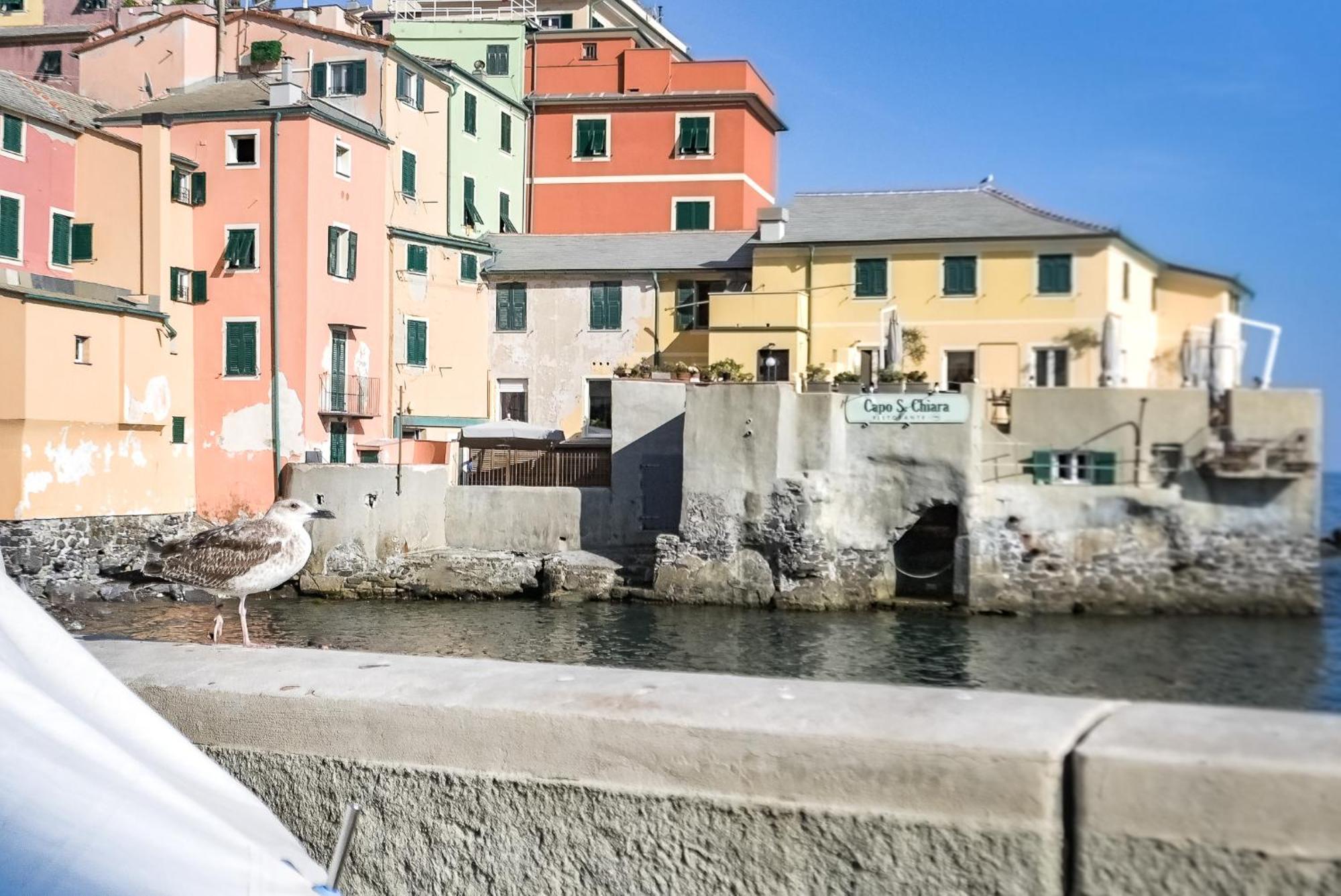 Il Rifugio Sul Mare - Genovainrelax Apartment Bagian luar foto